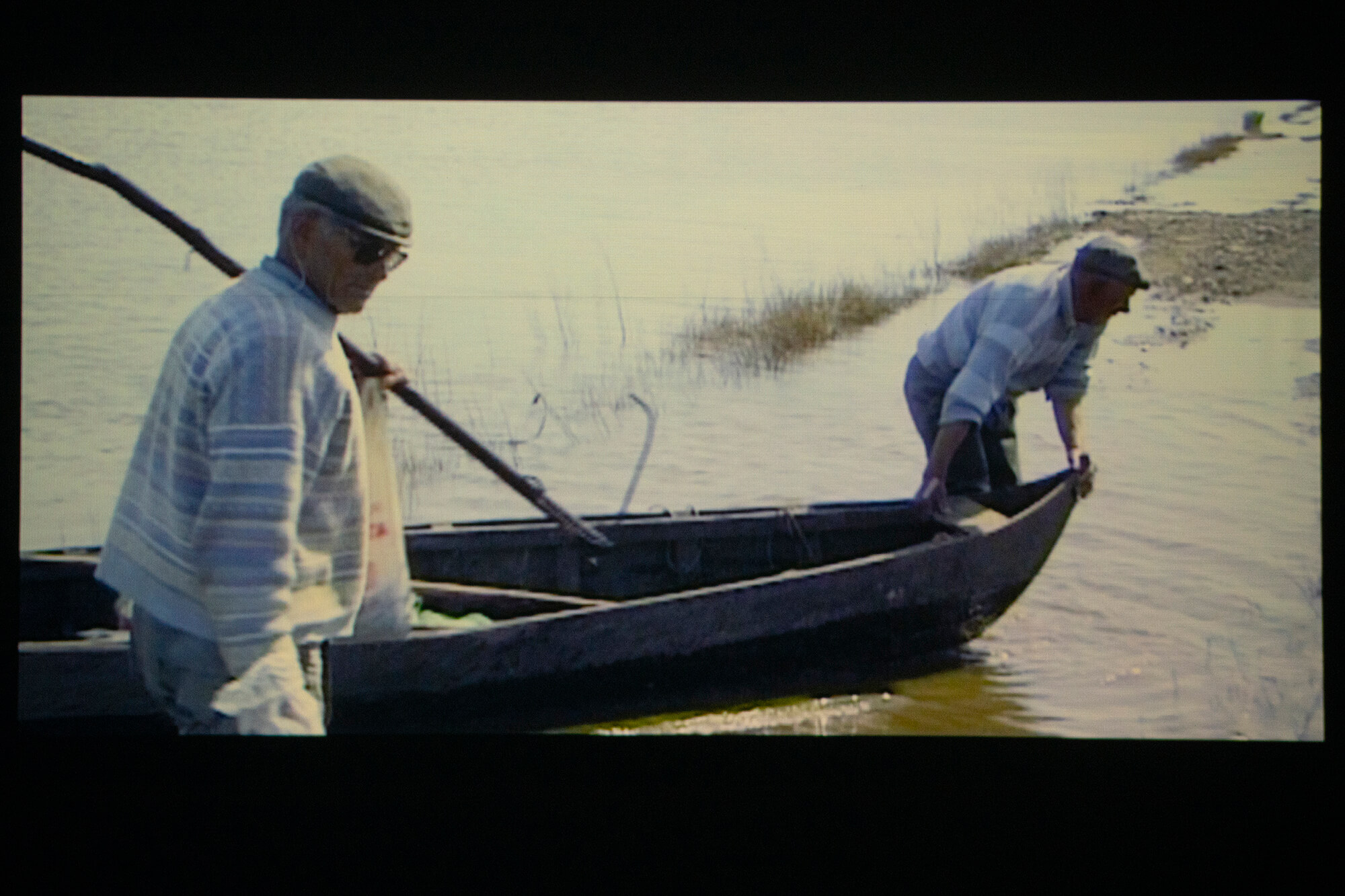 9787a (Peixe Miúdo) (1)